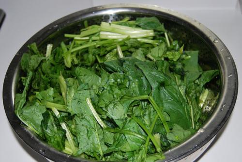 ���ײ��˵�����