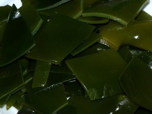 �ŹǺ���������������