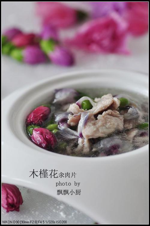 ľ�Ȼ�����Ƭ������