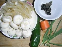 ݩ������������