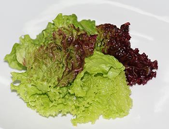 ֥ʿ�h���������ѵ�����