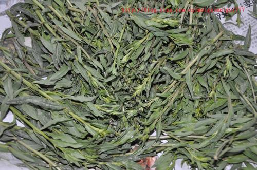 ���γ����ѿ��������