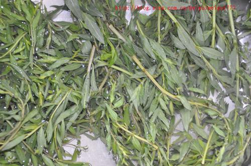 ���γ����ѿ��������