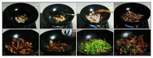 �ɹ�Ѽ�������