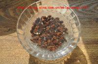 ާ�����������