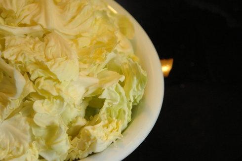 ��͸����˵�����