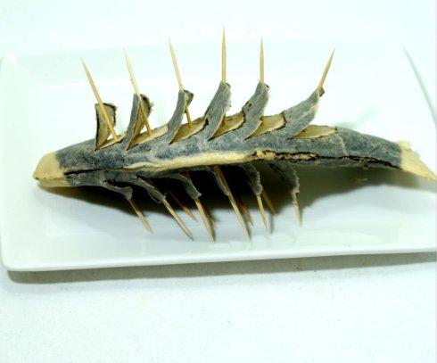 ��֭��â�h���������