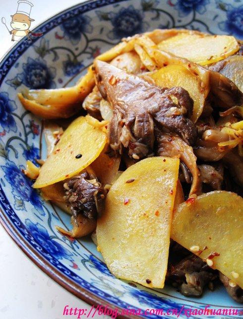 ����ƽ������Ƭ������