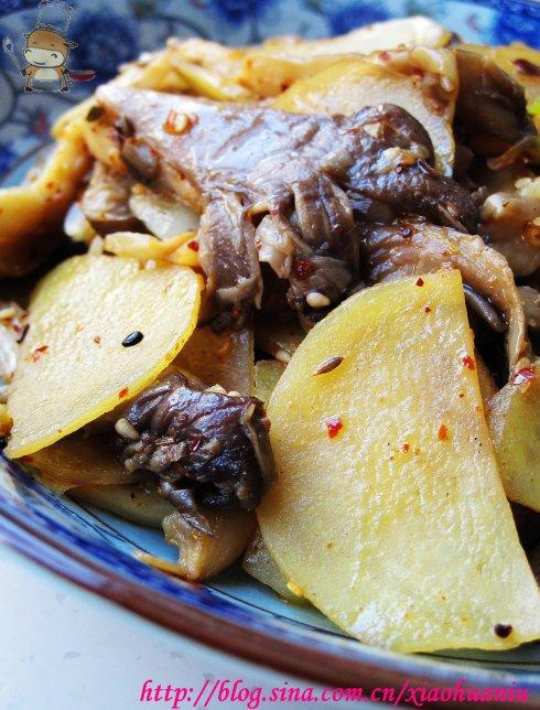 ����ƽ������Ƭ������