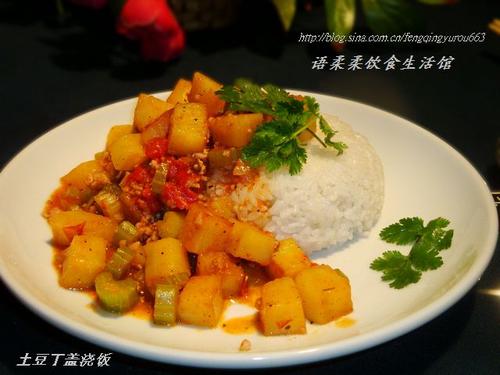 �������ǽ���������