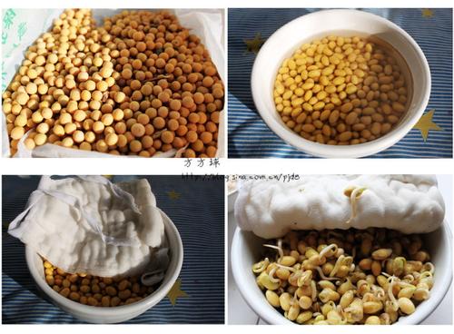 黄豆芽炒粉的做法