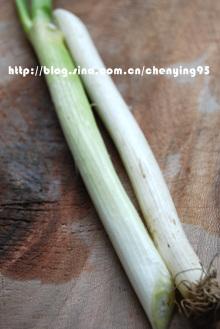 ���С�����������