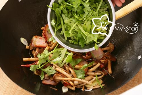 �ɹ����������������