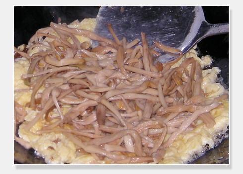 �ƻ��˳�����������