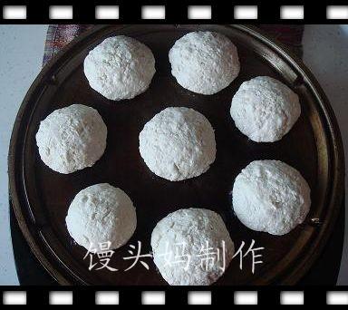 ������ϱ����𶹸�������