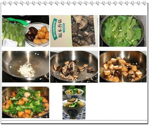 �㹽���Ͷ���������