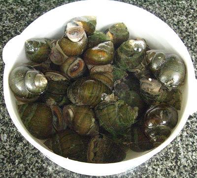 �������ݵ�����