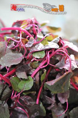 清炒苋菜的做法