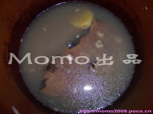 ������������ʪ��������