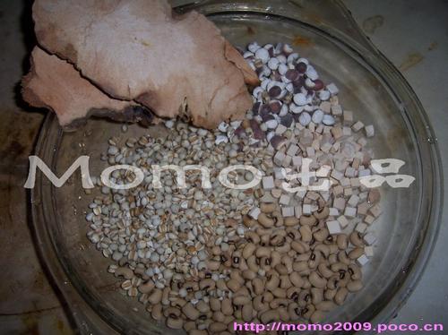 ������������ʪ��������