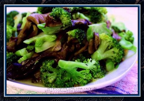 ��Ģ����������������