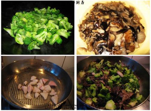 ��Ģ����������������