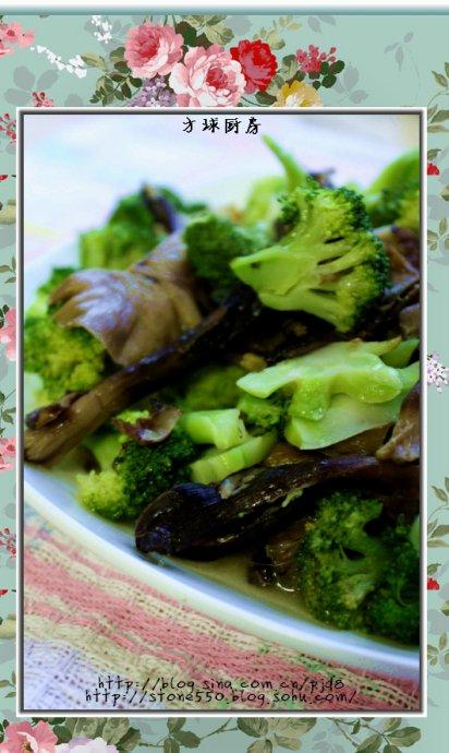 ��Ģ����������������