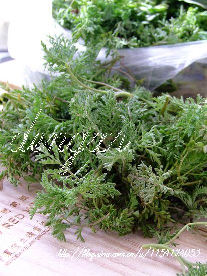 ���Ｆ����������