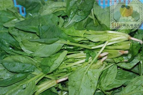 ������ŵ�����