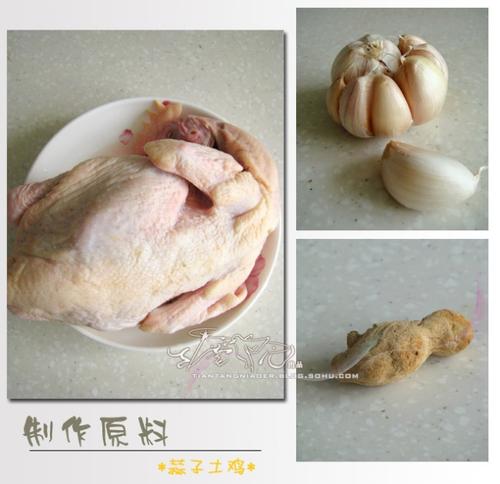 蒜子土鸡的做法