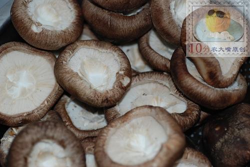 ��ν����㹽������