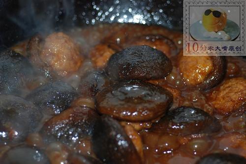 ��ν����㹽������