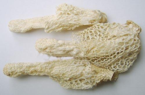 ��ݥɽҩ����ź������