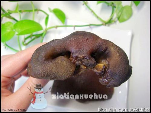 �˸ɳ������ǵ�����