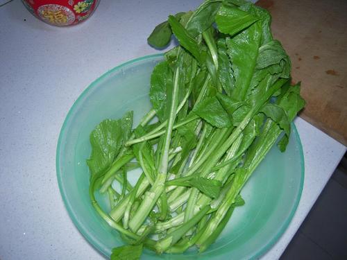 巧克力马青菜钵德琳的做法