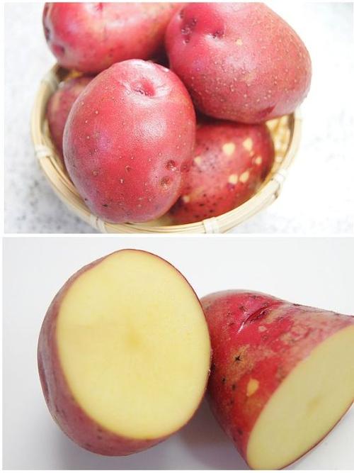 ��ʽţ��������������