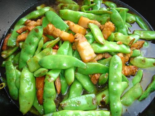 �廨�����Ͷ�������