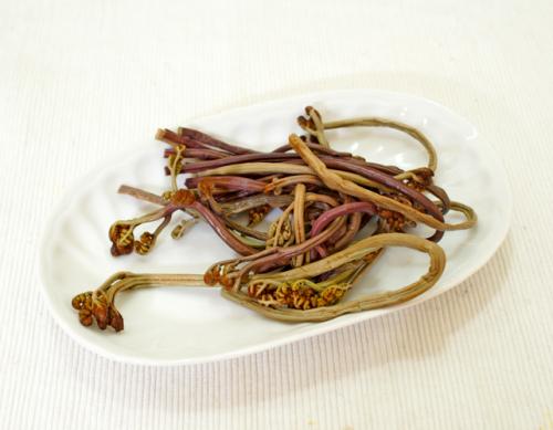 Ұɽҩ�Ϲ���ާ�˵�����