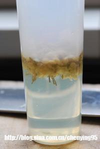 �������ն��������