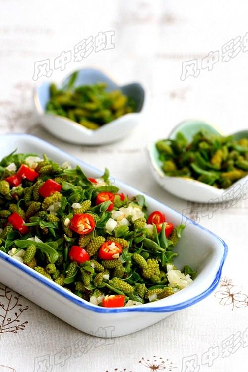 ������ѿ������