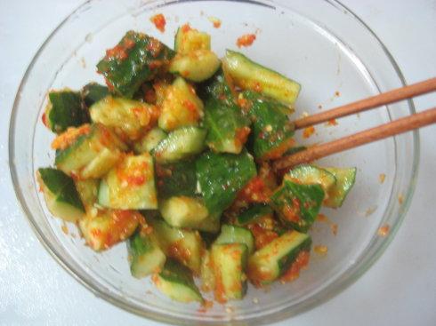 ̩ʽ��������ϵ�����