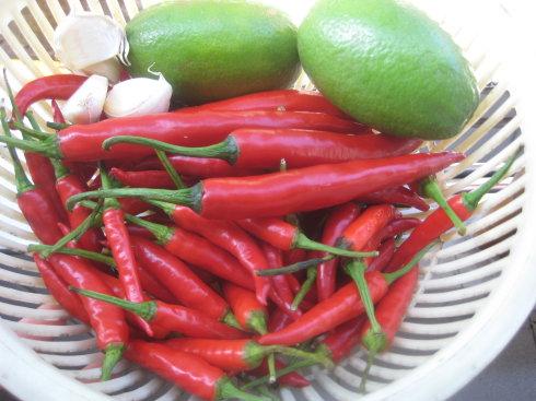 ̩ʽ��������ϵ�����