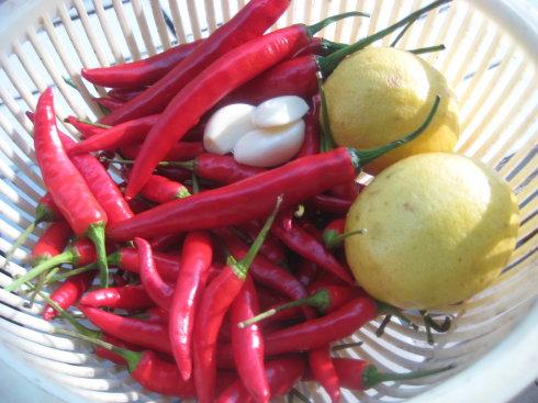 ̩ʽ��������ϵ�����