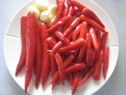 ̩ʽ��������ϵ�����