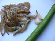 ˿�ϻ�Ϻ�ʵ�����