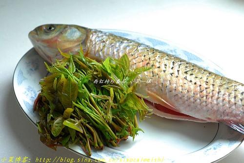 �����㴻�������