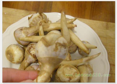 �ȹ��ռ�������