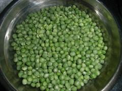 �㶹�������