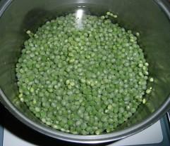 �㶹�������