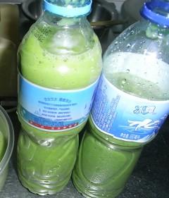 �㶹�������